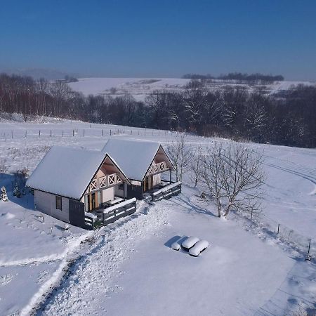 Apartamenty Zywiec Żywiec Exterior foto