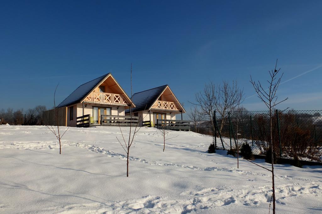 Apartamenty Zywiec Żywiec Exterior foto